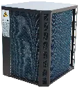 WP20 02.webp