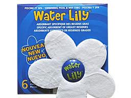 Water Lily doosje 6 stuks