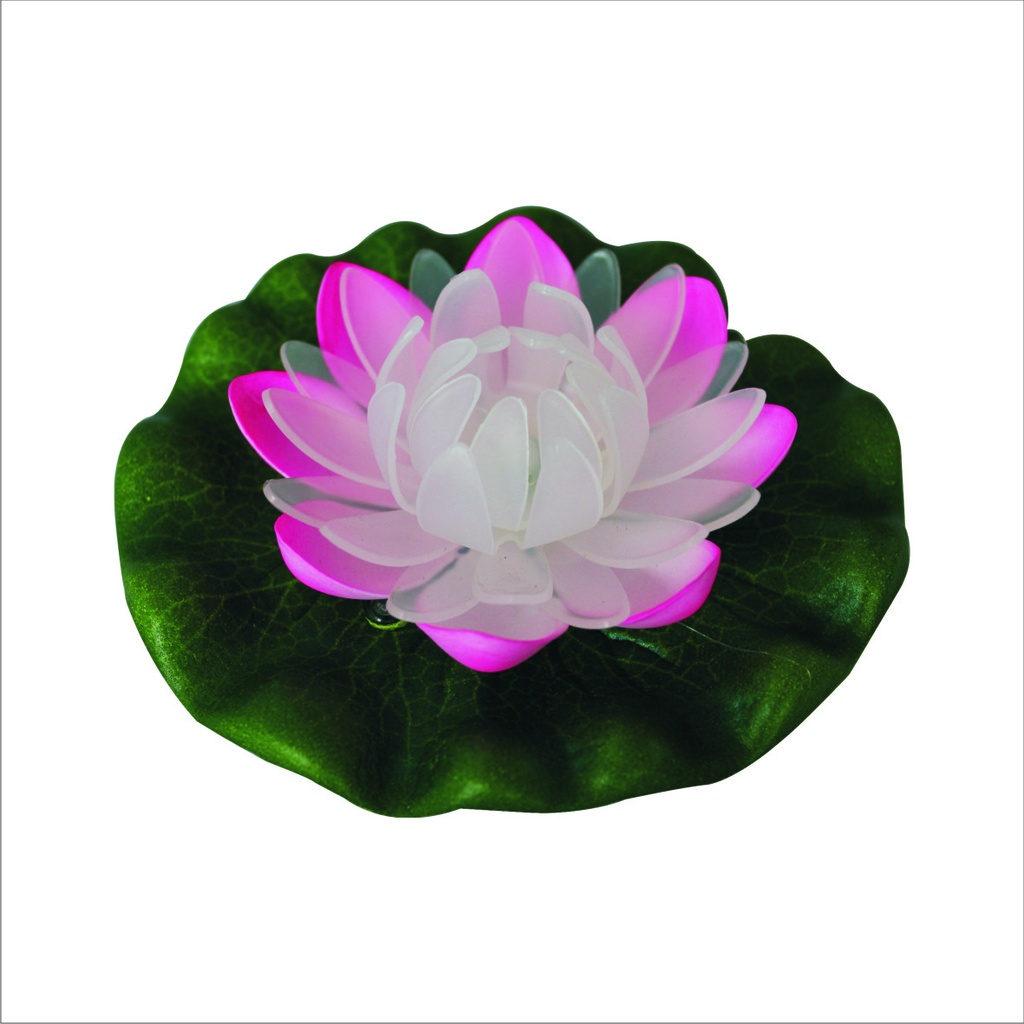 Drijvende kleuren LED Lamp